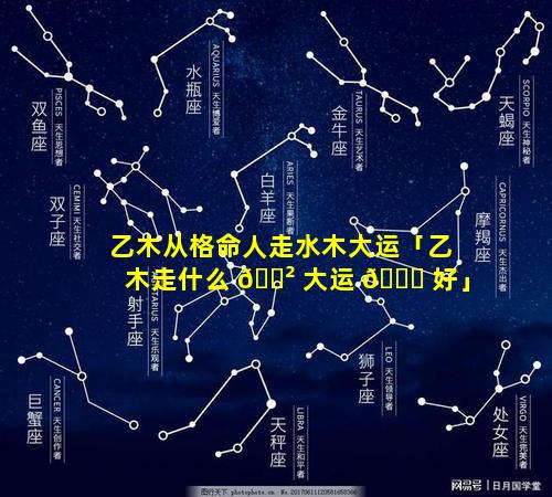 乙木从格命人走水木大运「乙木走什么 🌲 大运 🐋 好」